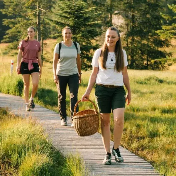 Kräuterpädagogik - bfi Bildungscampus Vorarlberg
